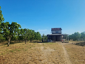 Bán trang trại xoài Úc 14ha 9 năm tuổi tại Ninh Thuận