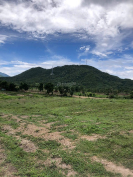 Chính chủ kẹt muốn bán gấp 10hecta (100000m2) trang trại ở Phước Chính Bác Ái, Giá chỉ 2.5tỷ còn TL