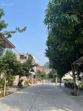 Bán đất Đồng Si Ninh Mỹ ngay đường Hoa Lư kéo dài. LH 0972 018 490