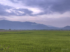 Chính chủ bán nhanh 500m2 đất thổ cư TT Phước Đại - Ninh Thuận, giá 1.150tỷ. Liên hệ 0937 379 023