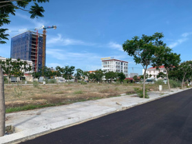 Đất cạnh biển Bình Sơn, đi bộ ra bãi tắm đúng 300 mét đi bộ. Cạnh nhiều tiện ích an cư, dịch vụ