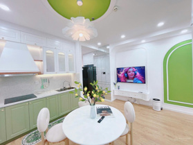 Cho thuê căn hộ 1 PN full nội thất tại Times City - Park Hill, 12 triệu, 56m2