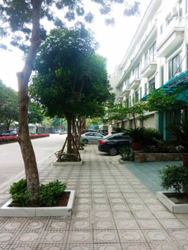 Quỹ liền kề biệt thự cần bán tại khu C Geleximco Lê Trọng Tấn, Hà Đông, cập nhật mới, giá tốt nhất