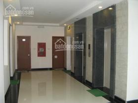 Cho thuê văn phòng Q. Hai Bà Trưng, phố Phạm Đình Hổ 50m2, 110m2, 160m2, 250m2, giá 100 nghìn/m2/th