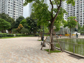 Chính chủ cho thuê shophouse Vinhomes Times City Park Hill 2 tầng diện tích 224 m2 giá 90tr/tháng