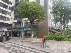 Chính chủ cần cho thuê shophouse diện tích 50m2 ở chung cư Imperia Sky Garden Minh Khai: 0912 132 991