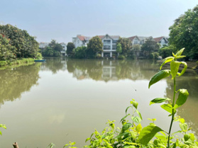 Bán gấp BT Hoa Sữa 01 - 05 hướng ĐB, diện tích 200m2 xây dựng 412m2 căn thô view sông rộng, 55 tỷ