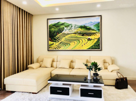 Cho thuê căn hộ cao cấp Eurowindow Trần Duy Hưng, 100m 2 phòng ngủ full đồ, giá 15 triệu/tháng