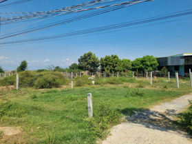 Chỉ 225 triệu sở hữu ngay 98m thổ cư cách QL1A 400m - Đường oto tới tận nơi