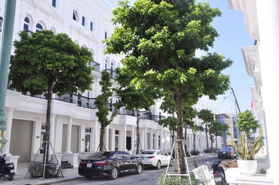 Quỹ căn liền kề biệt thự tốt nhất tại dự án Louis City Đại Mỗ giá chỉ từ 22 tỷ ngày 11/11/2024