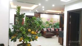 Cần bán gấp 5 căn hộ CC An Bình City giá rẻ nhất khu vực. LH 0968 191 557 em Thanh. Chỉ từ 4tỷ9