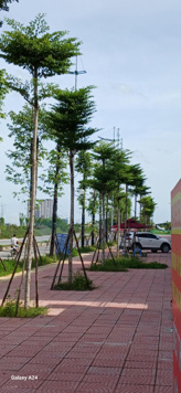 Bán nhà mặt phố Trịnh Văn Bô 103m2, giá 24 tỷ
