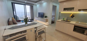 Hàng hiếm! Tôi cần bán căn hộ 48.32m2 Vinhomes D''Capitale 2N, nội thất full đẹp. Liên hệ 0368 590 357