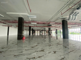 Siêu phẩm duy nhất tại 168 Đường Trịnh Văn Bô, chỉ với 392 nghìn VND, 600m2