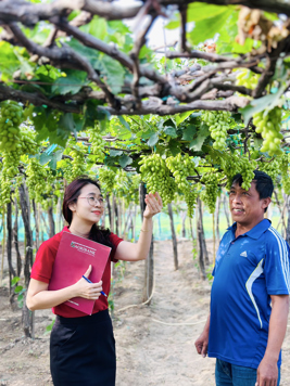 Thông tin địa chỉ PGD Agribank số 3, Bắc Từ Liêm