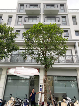 Bán BT liền kề The Manor Central Park - view công viên Chu Văn An, cạnh phố đi bộ, giá tốt