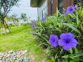 Khu đô thị Izumi City - mở bán giỏ hàng trực tiếp CĐT - chiết khấu đến 1 tỷ 870tr