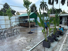 Cho thuê mặt bằng kinh doanh 12m mặt tiền sân vườn mở sát ngay toà nhà Pegasus - Võ Thị Sáu