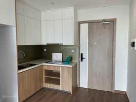 Chính chủ cần chuyển nhượng gấp căn 1PN + tại phân khu Imperia, 42.9m2, nguyên bản, giá chỉ 2.9 tỷ