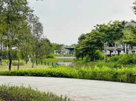 Bán biệt thự Đơn lập Swanbay căn góc vị trí đẹp, sổ hồng riêng, mặt tiền đường lớn. Chính chủ!