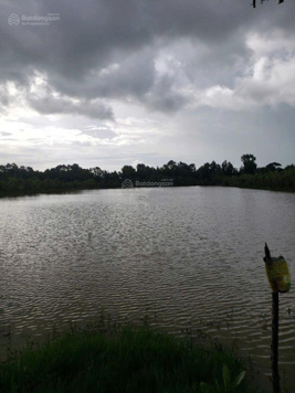 Bán đất sổ sẵn giá tốt nhất khu vực Trà Cú - Trà Vinh