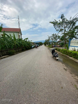 Bán đất mặt tiền thôn Đồng Sơn, Sơn Lộc, Bố Trạch Quảng Bình. Liên hệ chính chủ: 91 8979579