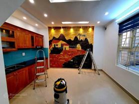 Nhà mặt tiền rộng4,6 mét cách đường ô tô tranhs 10m giá 8,6 tỷ