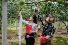 Thông tin địa chỉ Chi nhánh Agribank Đông Hà Nội, Hoàn Kiếm