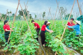 Thông tin địa chỉ PGD Agribank số 17, Hoàn Kiếm