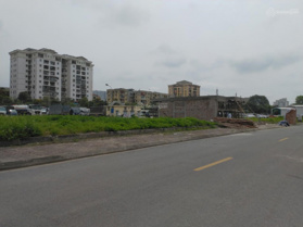 Bán lô đất đấu giá đường Tân Mai LH 0961 730 068