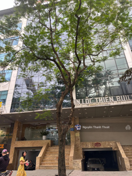 Bán toà Trần Thái Tông Cầu Giấy 160 m2 x 9T x MT 9 m x giá nhỉnh 80 tỷ. Dòng tiền 200tr1/th