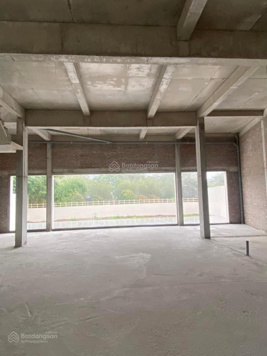 Biệt thự Lão Thành Cách Mạng - 395m2 giá 100 tỷ - Kinh Doanh - làm nhà hàng, VP, khách sạn,..