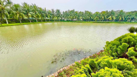 Bán đơn lập vip Bằng Lăng 7-08, 500m2, nội thất nhập khẩu, view sông mở . Hàng xóm vip 1000-2000m2
