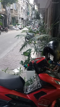 Cần bán gấp căn nhà PL Mạc Thái Tổ - Trung Kính, Yên Hòa, Cầu Giấy, diện tích 55 m2, giá 20,5 tỷ