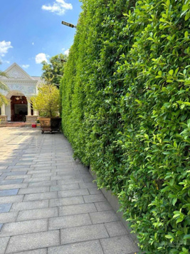 Bán biệt thự 1333m2 tại Phước Thiền Nhơn Trạch Đồng Nai