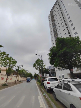 Bán đất phân lô dịch vụ khu C Yên Nghĩa, 50m2, hơn 9 tỷ