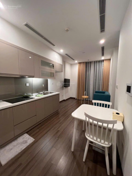 Cho thuê căn hộ Vinhomes Symphony - Long Biên - 1N 1K - full nội thất - giá 10 triệu/tháng
