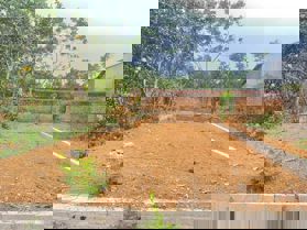 Chính chủ cần bán 80m full thổ cư Trục chính, đường thông 