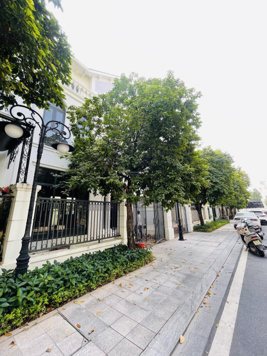 Siêu phẩm duy nhất tại Vinhomes Ocean Park Gia Lâm, 198triệu/m2, diện tích 89m2 cạnh hồ nước mặn