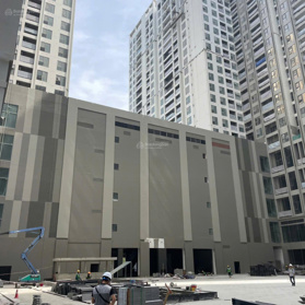 Phân phối chung cư The Wisteria suất ngoại giao nhận sổ ngay chiết khấu 800 triệu - hỗ trợ bank 65%