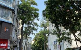 Bán nhà mặt phố Hàng Bún, DT 80m2 x 8 tầng, mặt tiền 6m, thuê 150 tr/ th