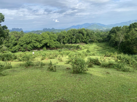 Đất nền nghỉ dưỡng giá rẻ tại Lương Sơn, Hoà Bình