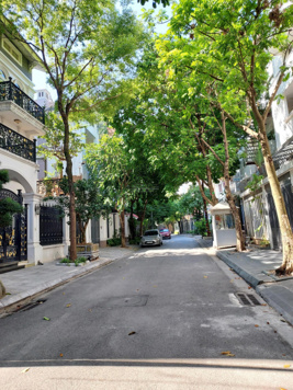 Bán nhà biệt thự đẹp tại đường Trần Kim Xuyến, 60 tỷ, 160m2, 6 PN, 5 PT