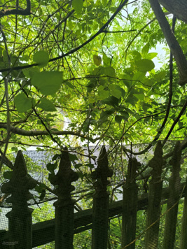 Lô đất bám hồ Lương Sơn, Hoà Bình