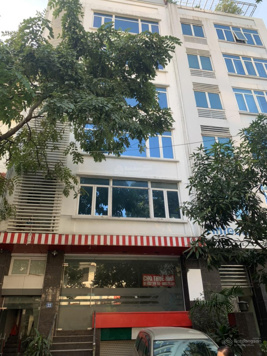 Chính chủ cần cho thuê tòa nhà mặt tiền 6 tầng vị trí đẹp, sầm uất, thích hợp làm VP, công ty