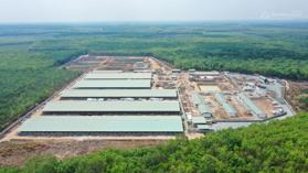 Bán đất chăn nuôi heo 5 ha tại Buôn Đôn