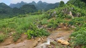 Bán trang trại đẹp tại xã Tú Sơn, 70 tỷ vnd, 120000 m2 - giá ưu đãi