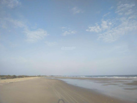 Bán trang trại dừa khu du lịch Hải Đăng- Mũi Điện - Kê Gà