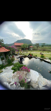 Chính chủ bán Homestay Ninh Bình