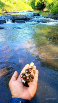 SIÊU PHẨM DUY NHẤT TẠI XÃ SÔNG RAY BÁN lô đất view suối thề 7,9 TỶ VND, 8300 M2